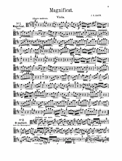 Violas