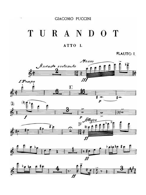 Flute 1