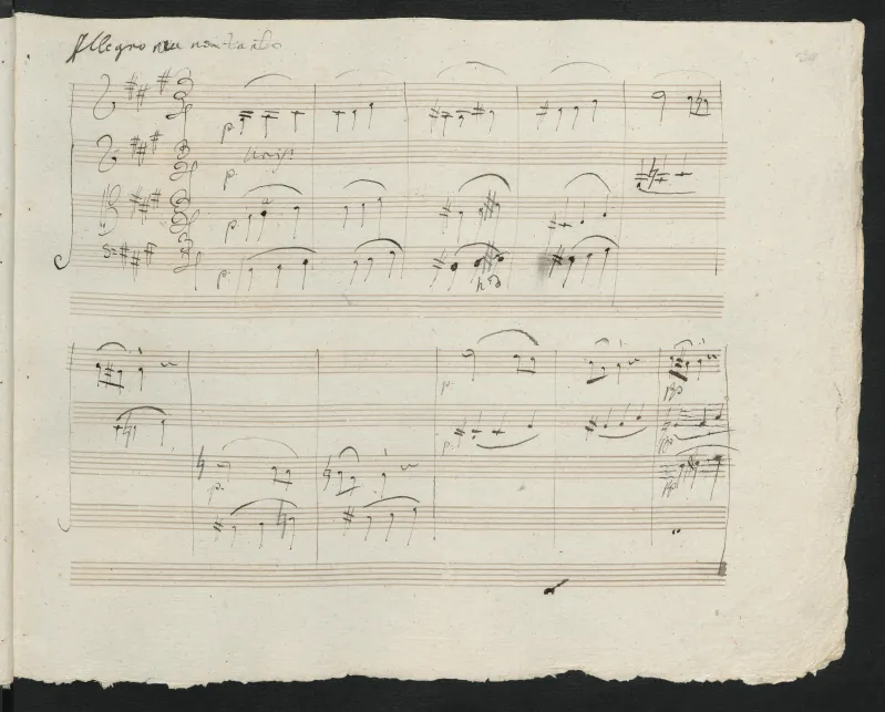 2. Allegro ma non tanto