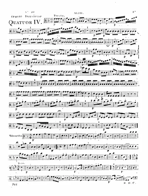 Viola