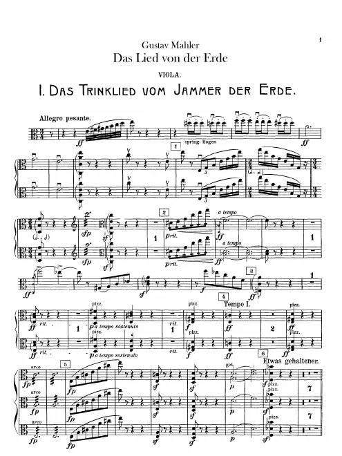 Violas
