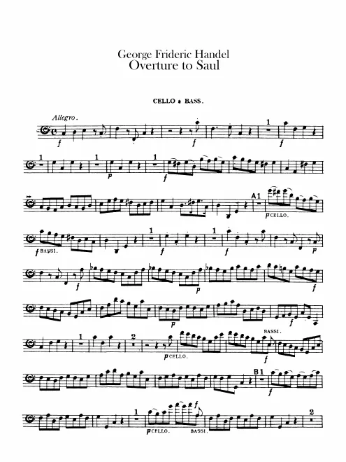 Cellos and Basses