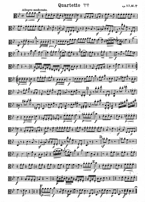 Viola