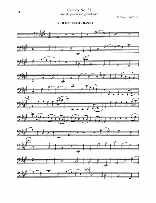 Cellos/Basses/Bassoon