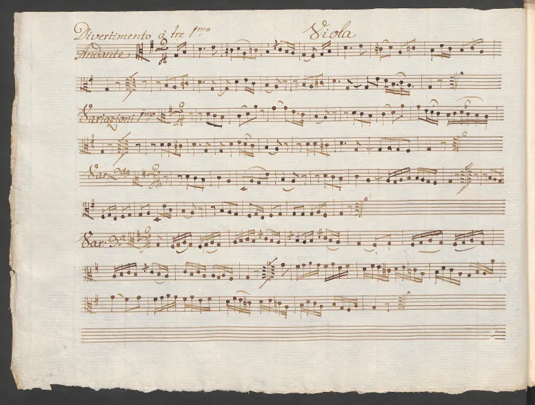 Viola