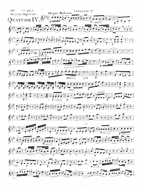 Violin 2