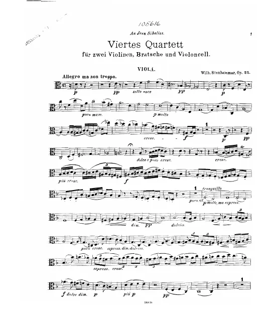 Viola