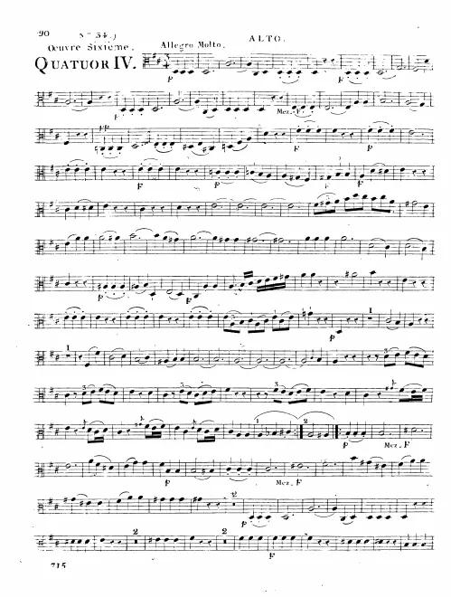 Viola