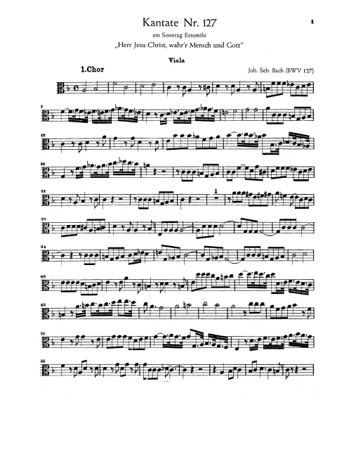 Violas