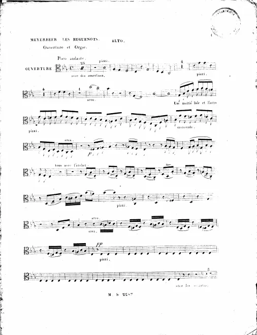 Violas