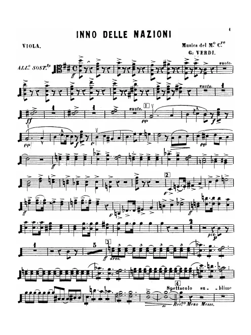 Violas