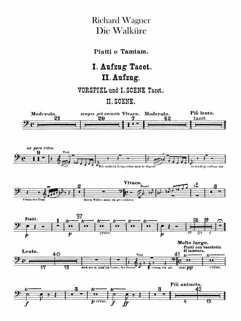 Cymbals/Tam-Tam