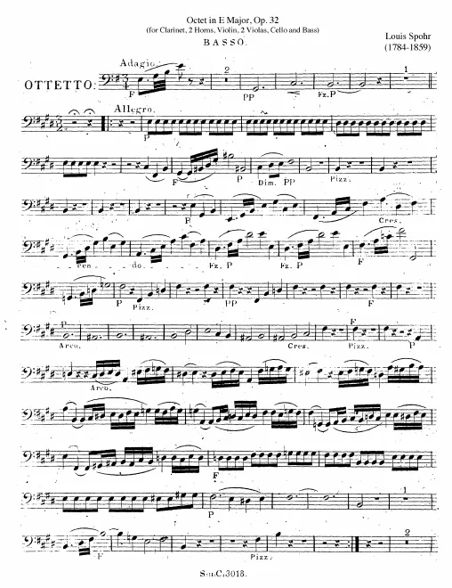 Bass