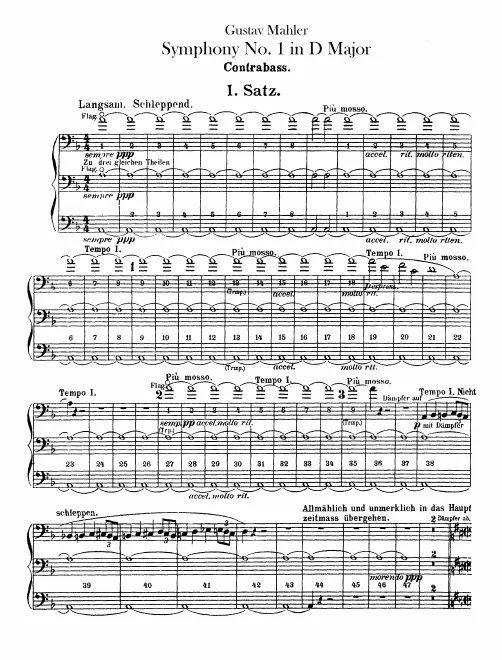 Basses