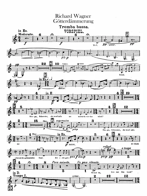 Bass Trumpet (C/D/E/E)
