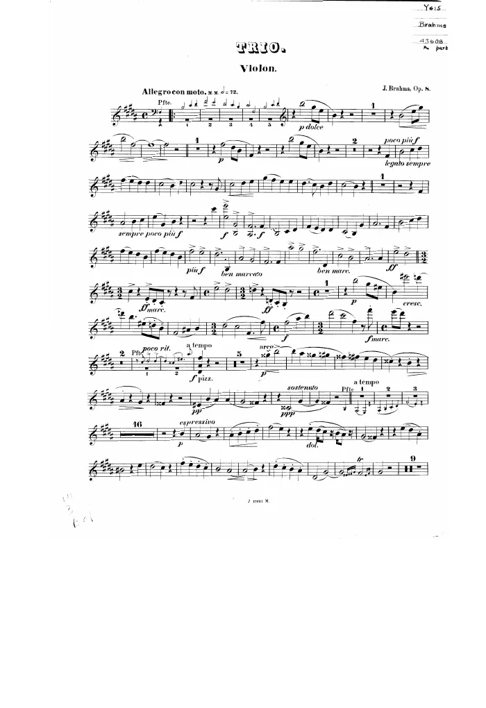 Violin