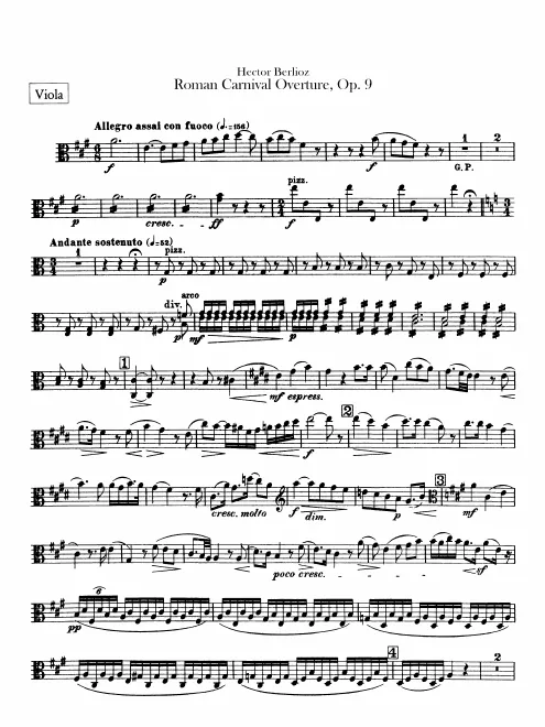 Violas