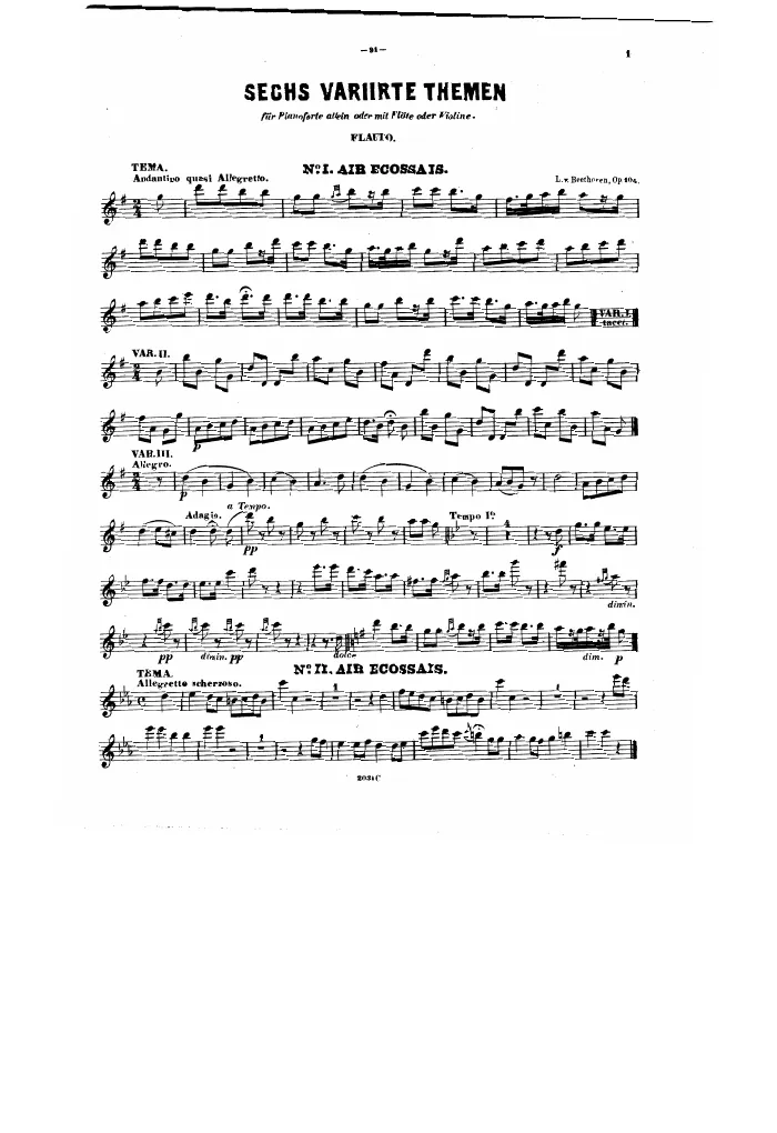 Flute