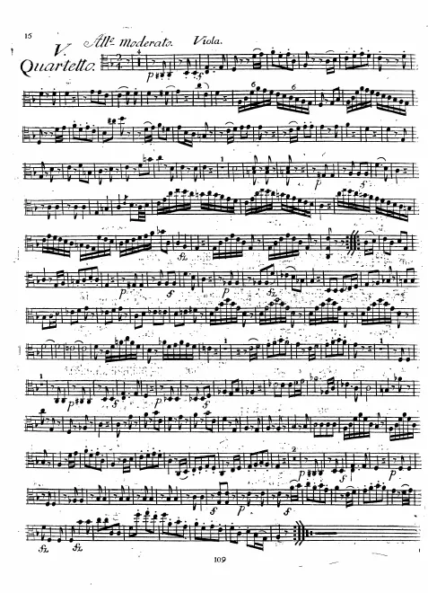 Viola