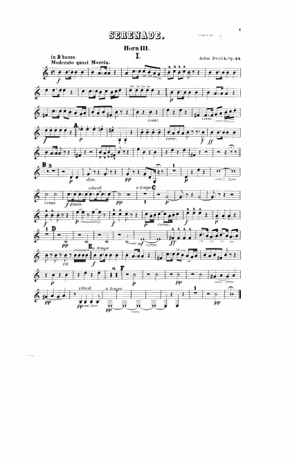 Horn 3 (B basso/D)