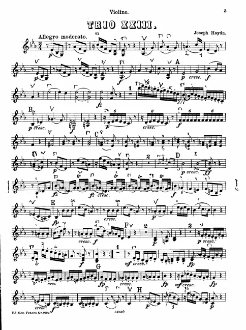 Violin