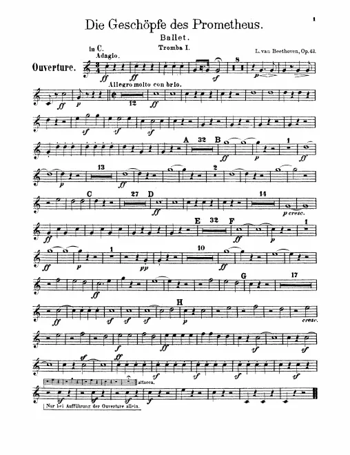 Trumpet 1 (C/D/E)