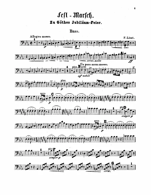 Basses