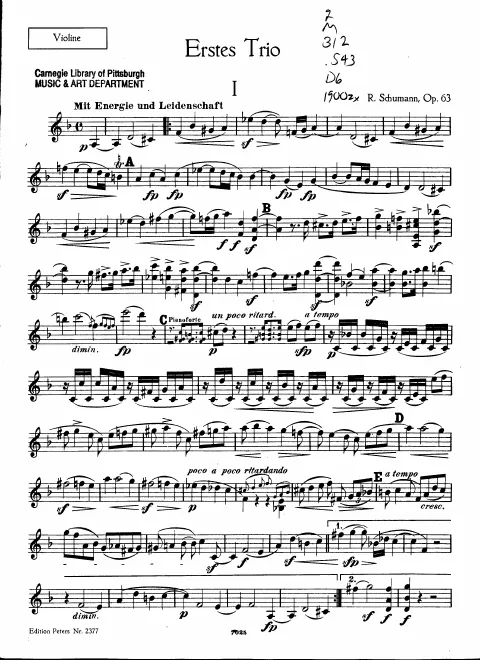 Violin