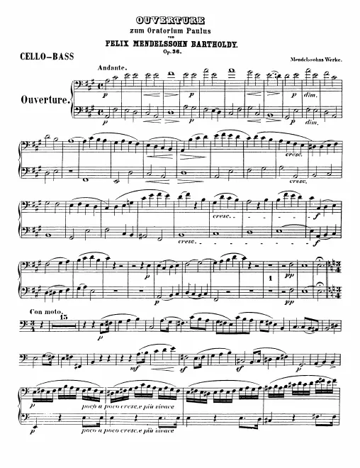Cellos/Basses