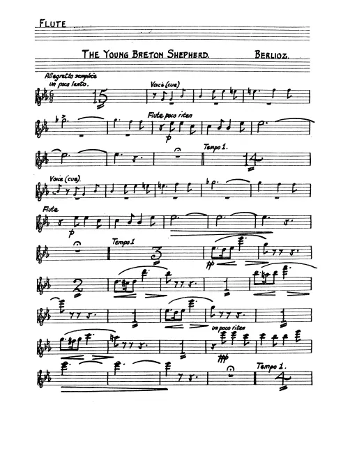 Flute