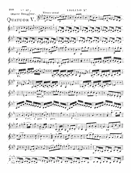 Violin 2