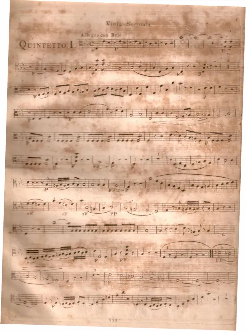 Viola 2