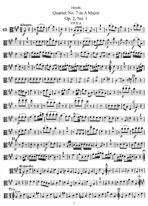Viola