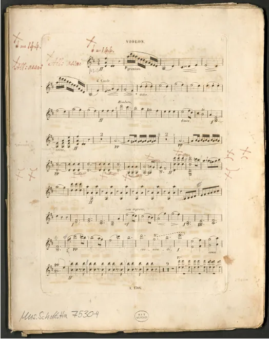 Violin