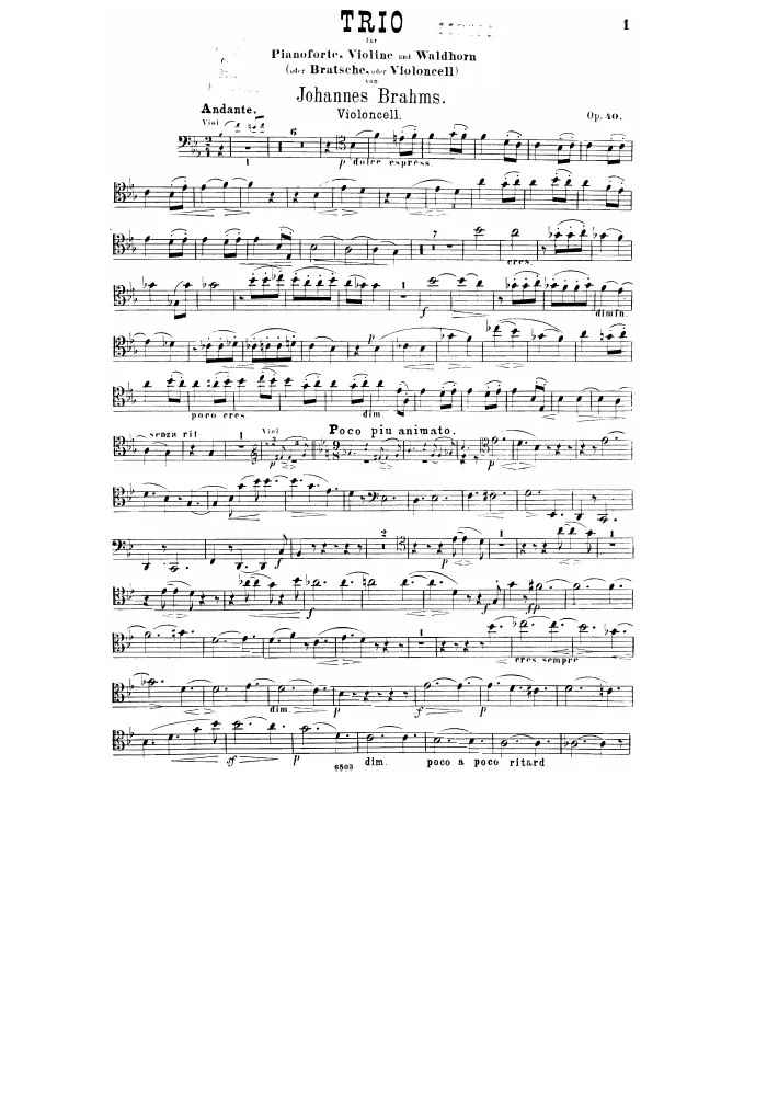 Cello