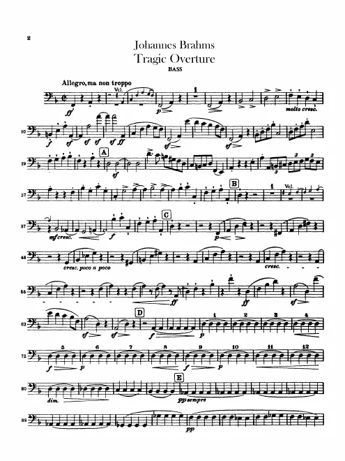 Basses