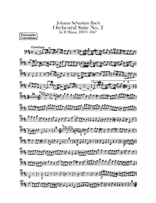 Cellos/Basses