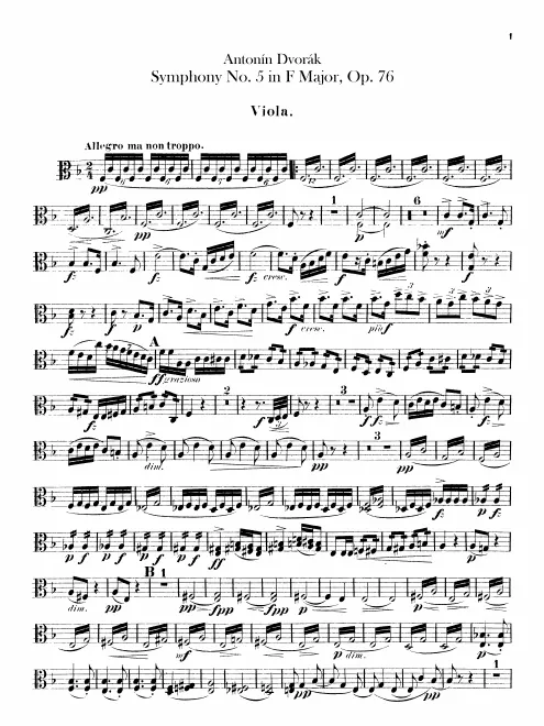 Violas