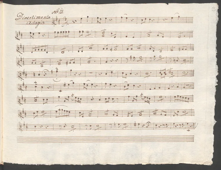 Viola