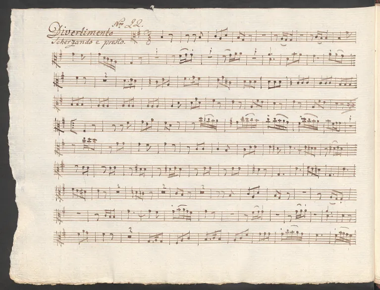 Viola