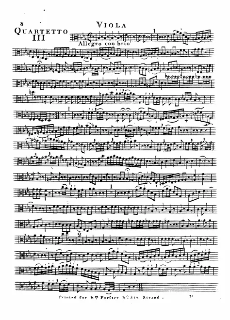 Viola