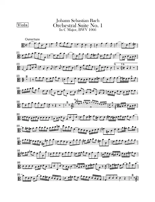 Violas