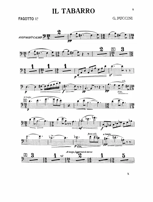 Bassoon 1