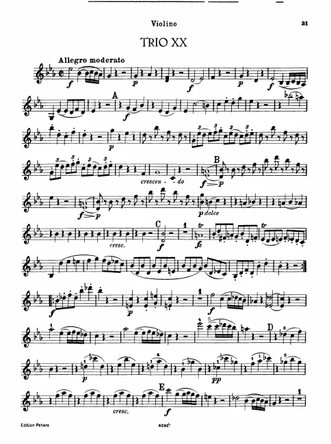 Violin