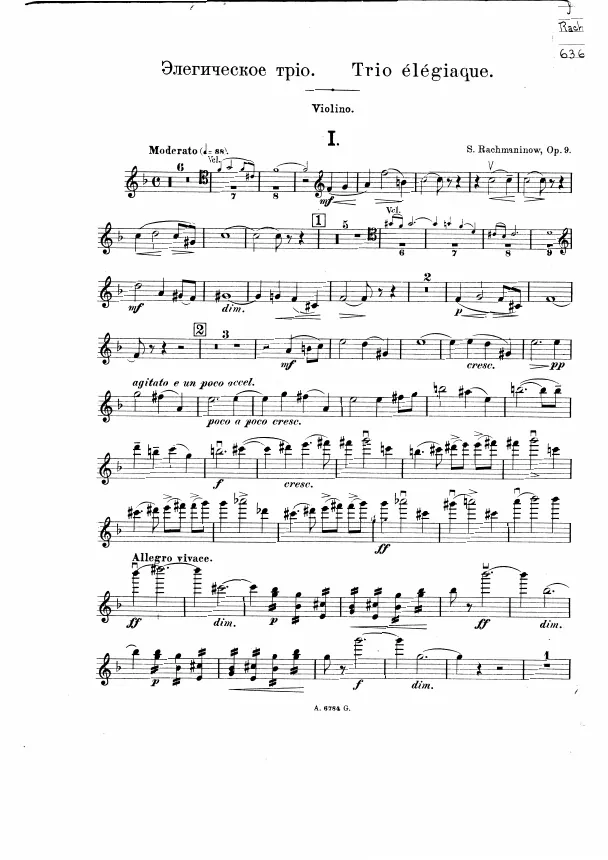 Violin