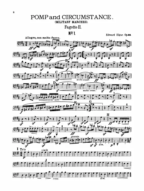 Bassoon 2