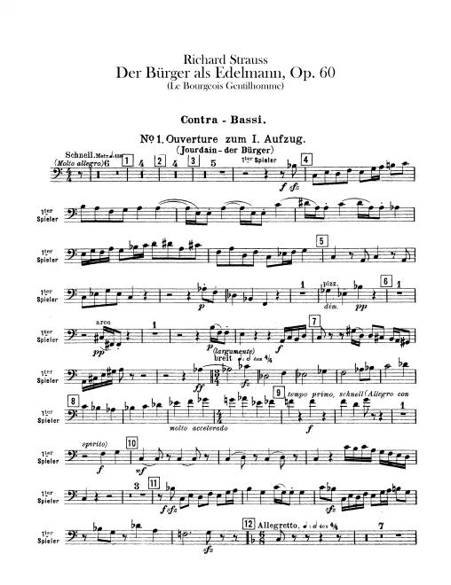 Double Bass (Player 1/2)