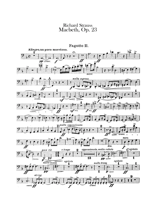 Bassoon 2