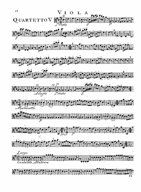 Viola