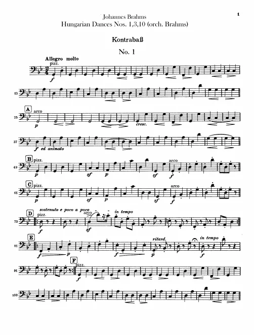 Basses